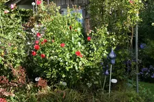 Vorher1219.webp