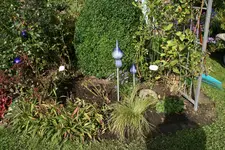 Nachher0619.webp