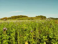 DSCF2815.webp