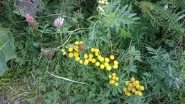 DSC_1159 (2).webp