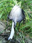 DSCF2818.JPG