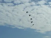 DSCF2836.webp