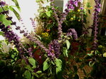 P1060777.JPG