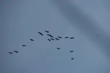 DSC08395.webp DSC08395.webp