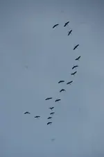 DSC08397.webp