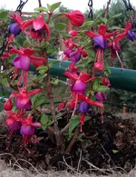 20191014_114352 (2).webp