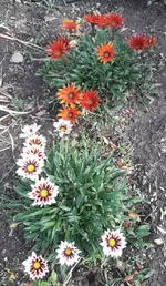 20191014_114818 (2).webp