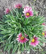 20191014_114853 (2).webp