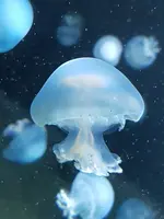 20190902_120709.webp