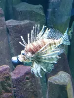 20190902_121940.webp