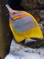 20190902_121719.webp