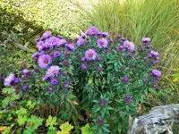 DSCF3029 (2).webp