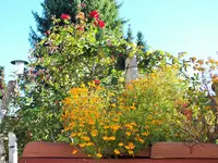 DSCF3019 (2).webp