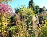 DSCF3026 (2).webp