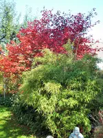 DSCF3027 (2).webp