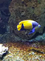 20190902_123650.webp