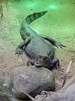 20190902_124717.webp