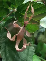 20190902_133744.webp