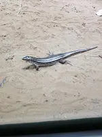 20190902_133939.webp