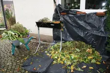 Vorher1619.webp