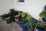 Winterlager0119.JPG
