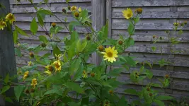 P1200226.webp