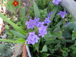 IMG_6883.JPG