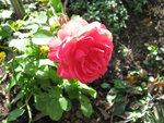 IMG_6882.JPG