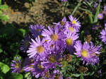 IMG_6886.JPG
