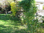 IMG_6893.JPG