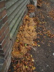 IMG_6873.JPG