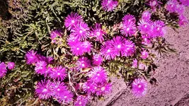 DSC_1389 (2).webp