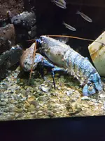 20190902_120333.webp