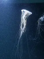 20190902_120855.jpg