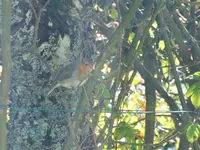 DSCF3016 (2).webp