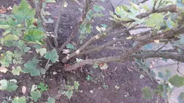 20191016_111720.webp