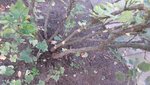20191016_111720.jpg