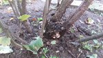 20191016_111704.jpg