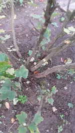 20191016_111647.webp