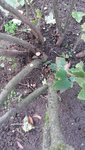20191016_111426.jpg