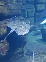 20190902_114646.webp