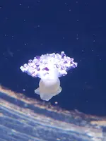 20190902_120052.jpg