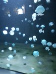 20190902_120639.jpg