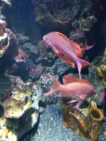 20190902_121423.webp