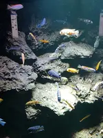 20190902_122532.webp