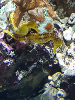 20190902_123824.webp