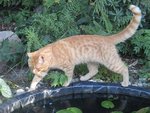 IMG_1143.JPG