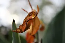 image003.webp