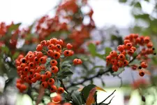 image008.webp