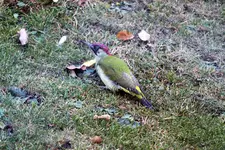 image001.webp